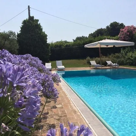Italian Experience - Il Concio * シローロ