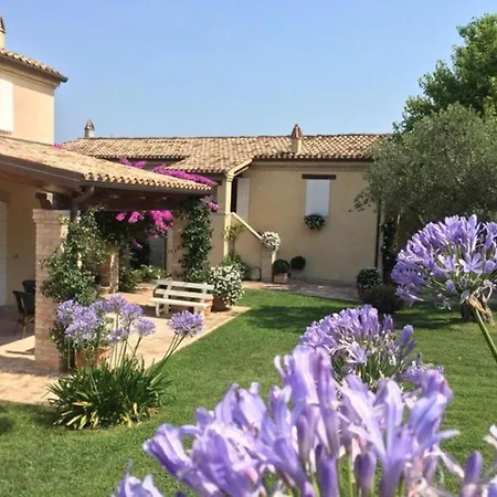 Italian Experience - Il Concio * シローロ
