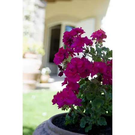 Villa Italian Experience - Il Concio *