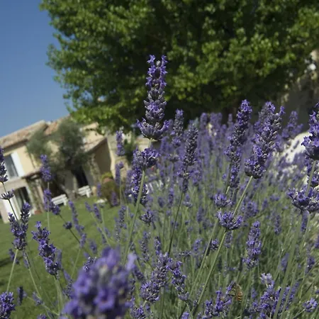 Italian Experience - Il Concio Villa *